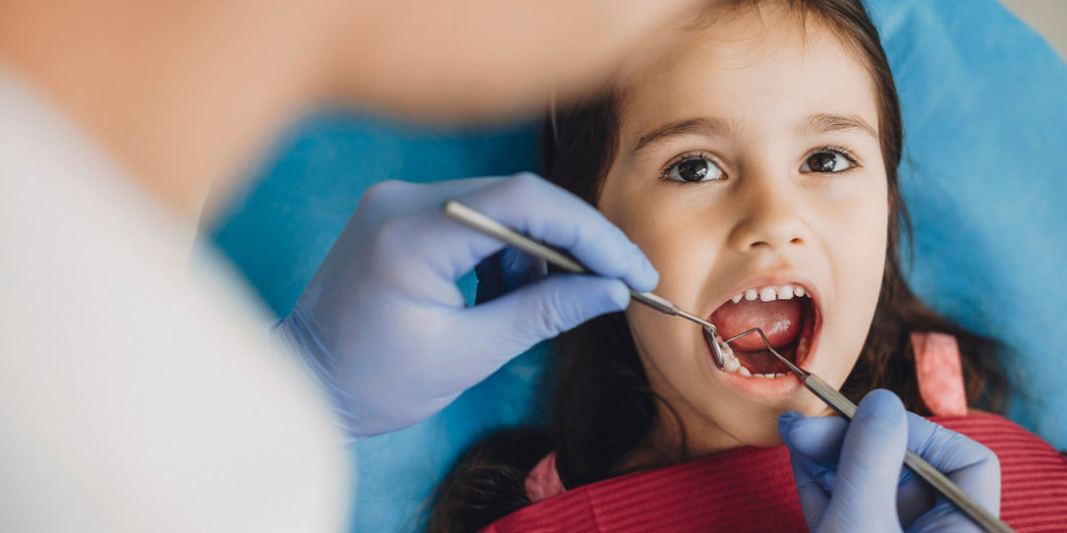 Estudian la eficacia de los probióticos, prebióticos y simbióticos para evitar la colonización de bacterias cariogénicas en niños