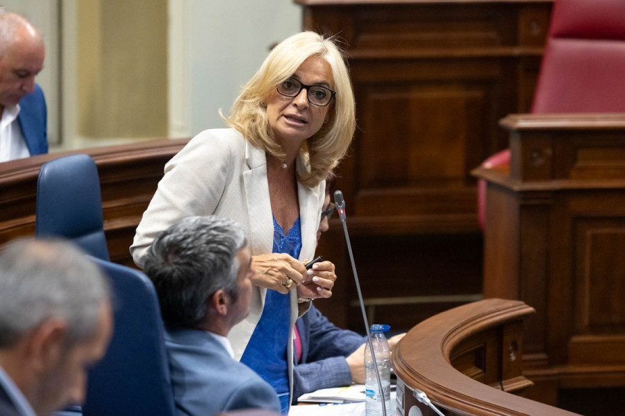 Esther Monzón, consejera de Sanidad del Gobierno de Canarias