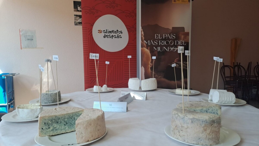 Cata quesos 2025 Alimentos de España