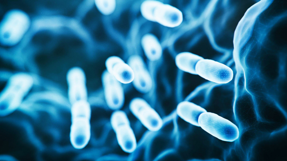 El estudio de los genomas de bacterias beneficiosas podría conducir a la creación de probióticos personalizados