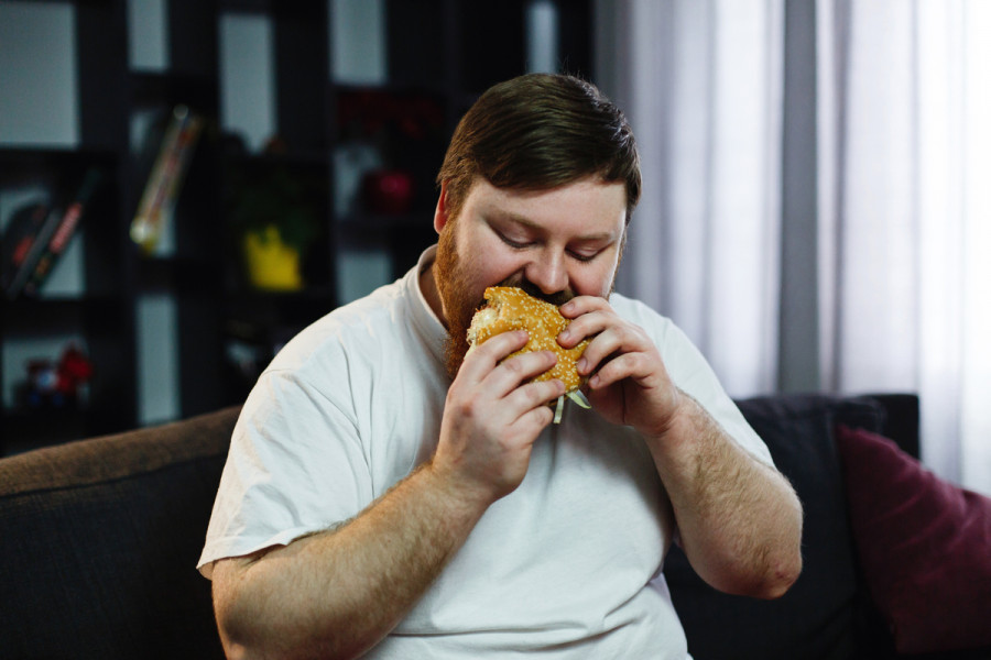 Dieta obesidad