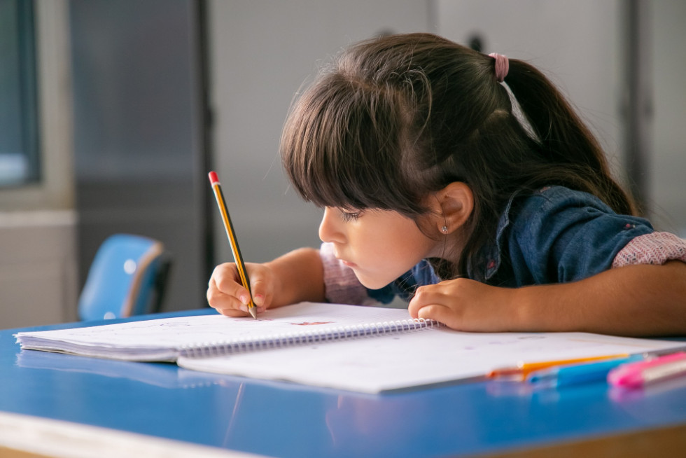 ¿La dieta puede ayudar a aumentar el rendimiento académico de los niños?