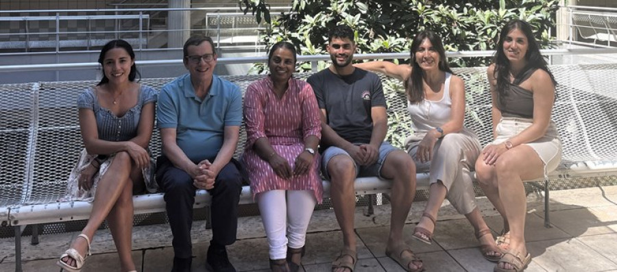 Grupo investigación alimentacion nutricion