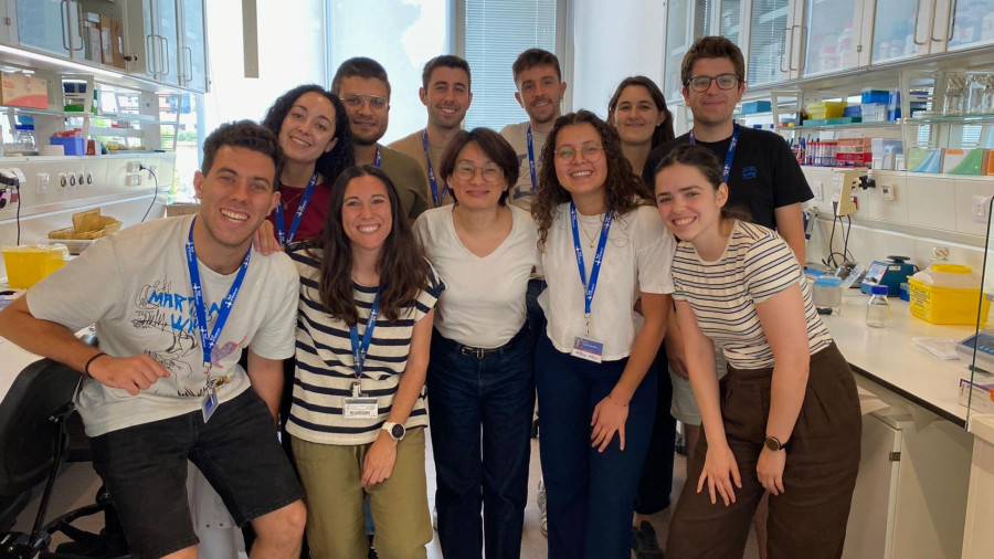 Grupo microbiota