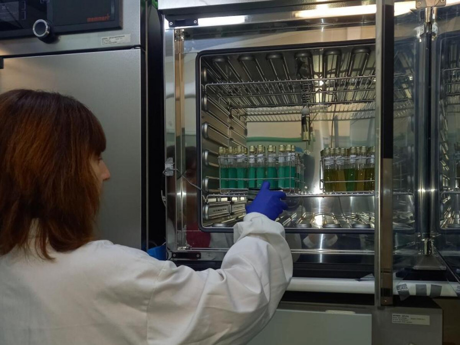 Laboratorio salud publica aragon