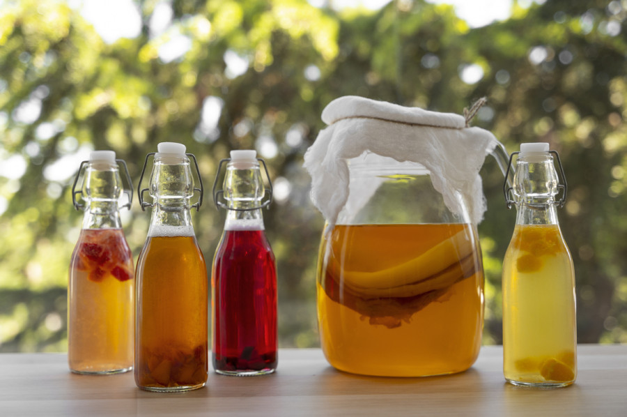 ALIMENTOS FERMENTADOS
